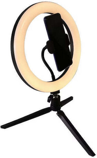 Ringlicht LED 20cm Durchmesser Usb 3 Lichtmodi 10 Einstellungsstufen Handyhalterung
