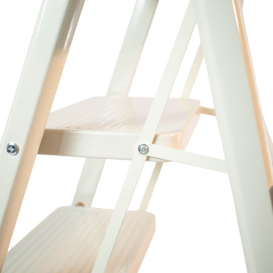 Aluminum Ladder with 3 Steps