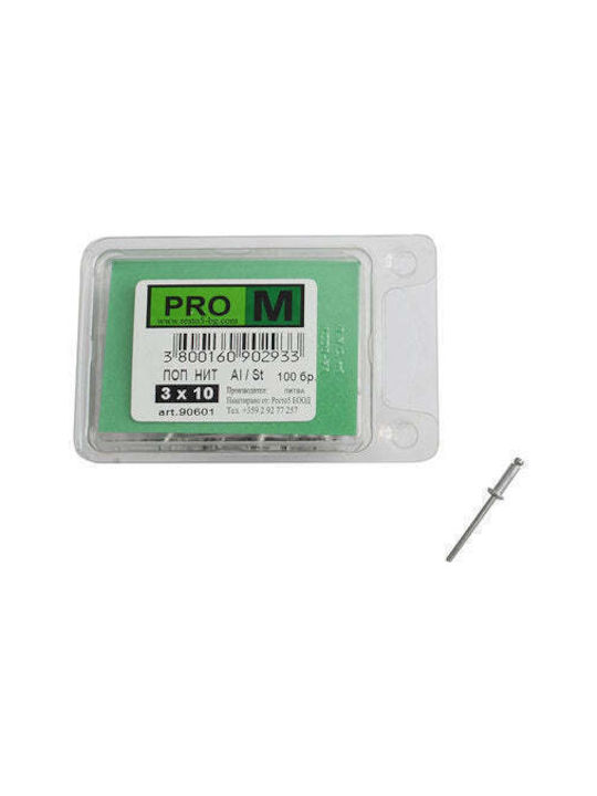 Pro m Πριτσίνια M3x10mm 100τμχ