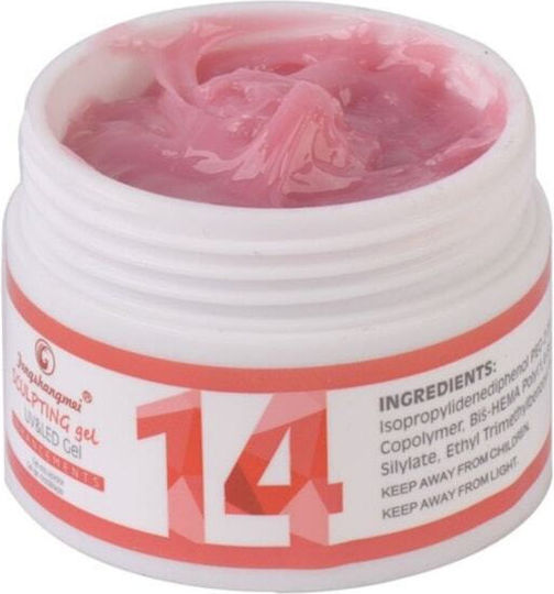Fsm Gel Builder No 14