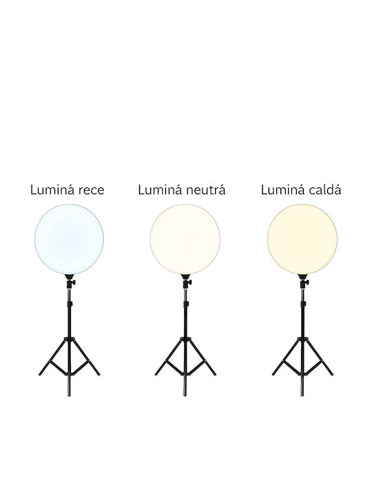 Round LED Panel with Warm White Light 3000K