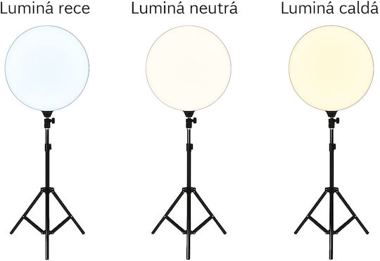 LED Panel LED Panel