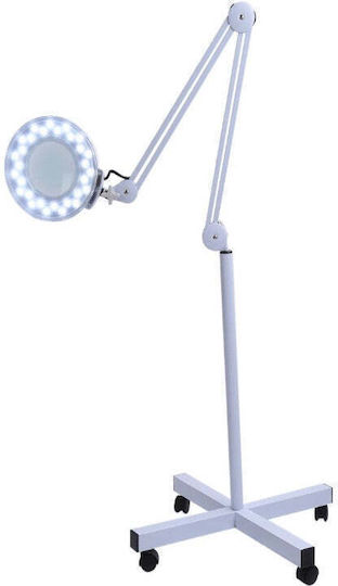 Professional Cosmetic Led Lamp Magnifier Cool Light 5x Wheels