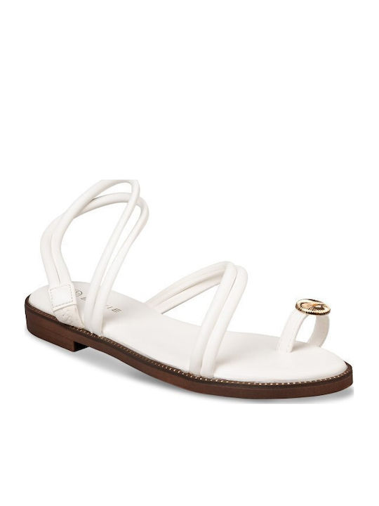 Envie Shoes