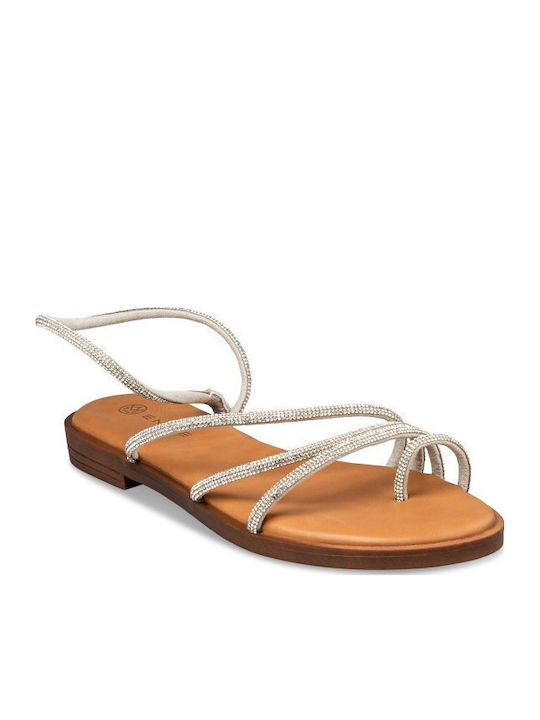 Envie Shoes