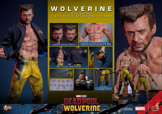 Hot Toys Deadpool & Wolverine Movie Masterpiece Action Figure in 1:6 Scale