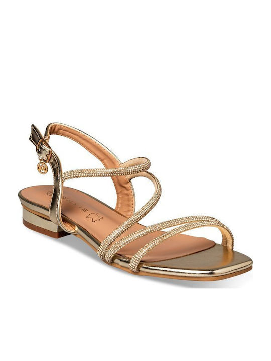 Envie Shoes Envie Shoes
