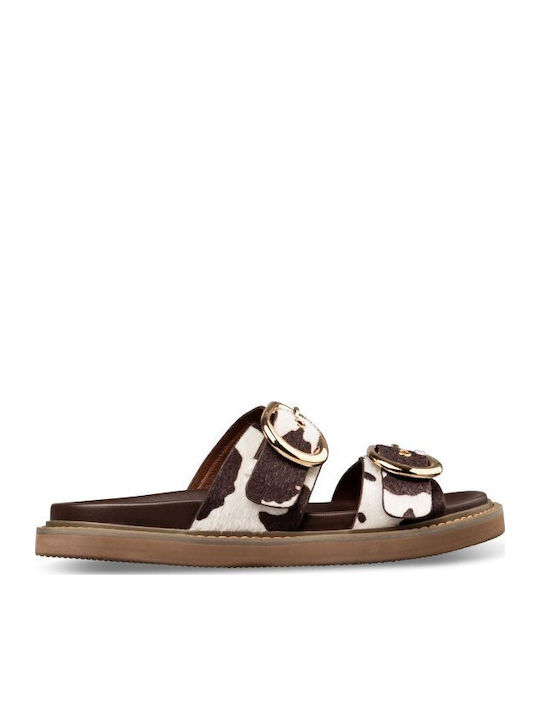 Envie Shoes