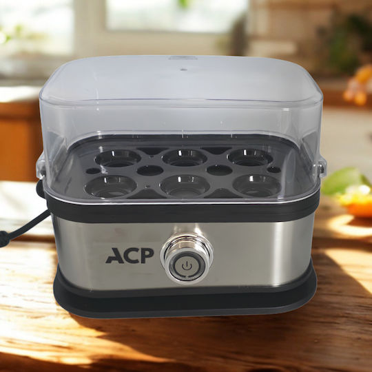 ACP Βrăstiră de Ouă cu 6 Compartimente Argintiu