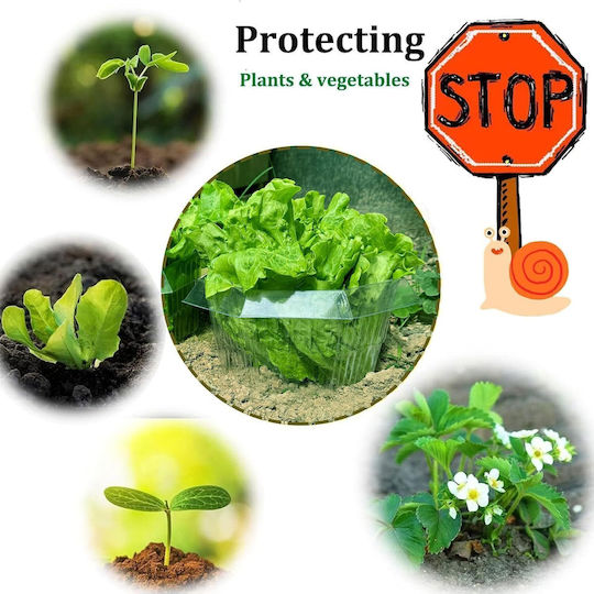 Anti-slug Rings Set 20 Pieces Ø 24cm Reusable Green