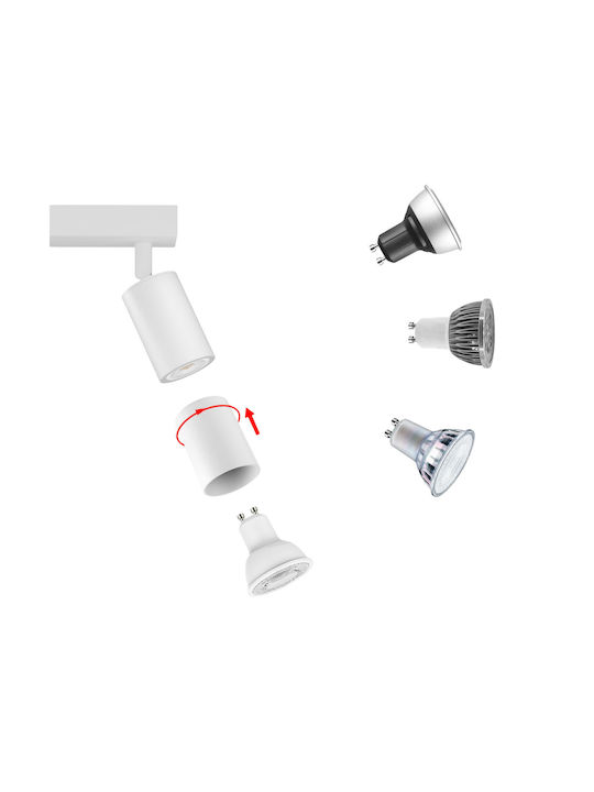 Lampa Ceiling Mount Light White