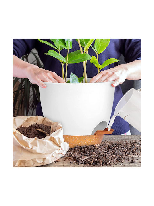 Herbs Flowers Various Sizes Σετ 6 Αυτοποτιζόμενες Γλάστρες Πλαστικές White