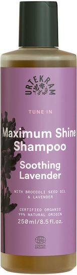 Urtekram Shampoo Für Glanz Mit Bio Lavendel 500ml