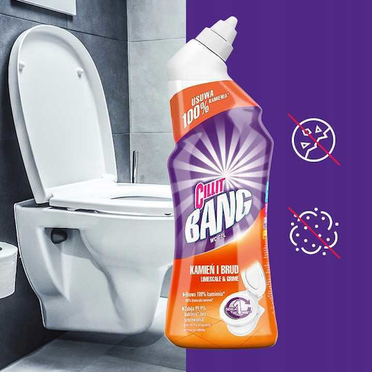 Reckitt Gel Καθαρισμού Λεκάνης με Άρωμα Φρεσκάδας 750ml