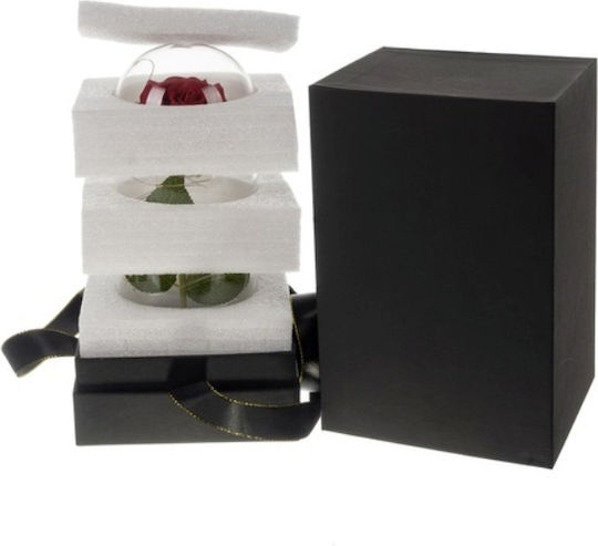Cryopreserved Rose In Glass Dome Led Lights