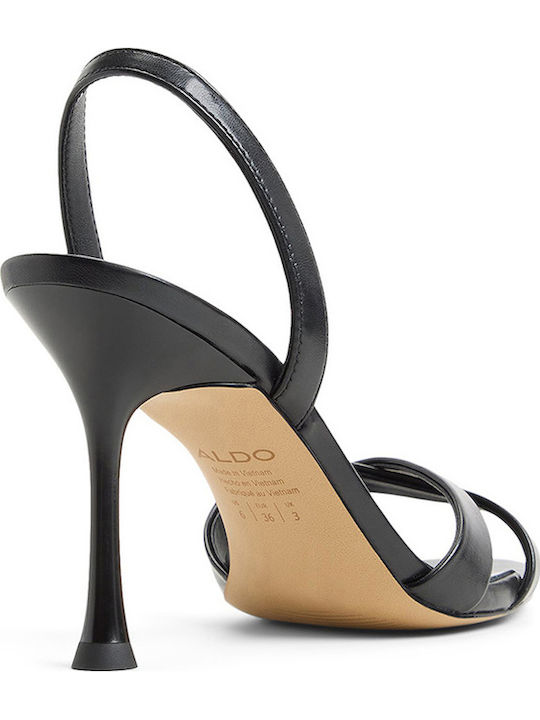 Aldo