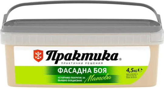Facade Paint Coffee 4.5 Kg Praktika
