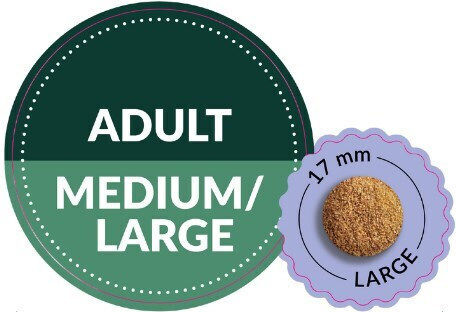 ADDVENA 10kg Hrană Uscată pentru Câini Adulți de Rase Medii și Mari cu Curcan