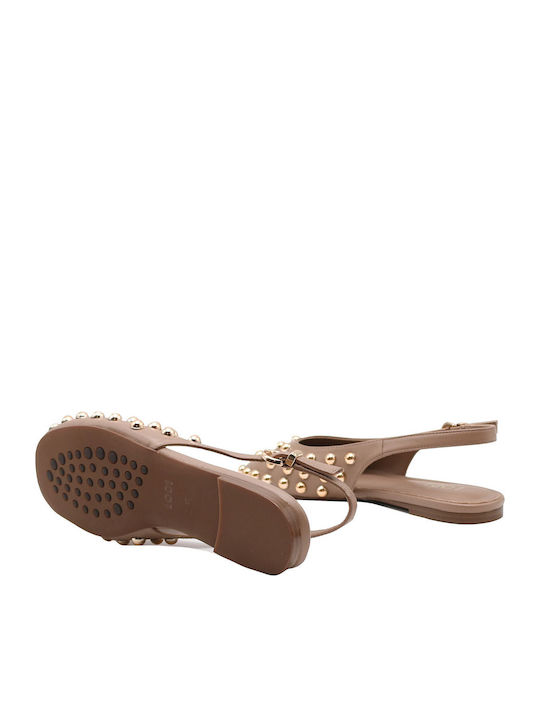 Women's Ballerina Shoes in Brown Color A-Leo C1