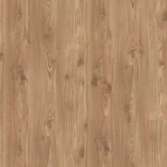 Pardoseli Laminate Kastamonu Pin Auriu As008 8 00 Mm 31/ac3