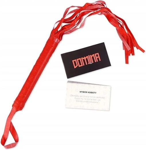 Card Game Adults Domina
