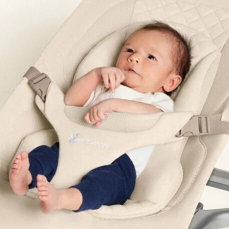 Elektrische Babywippe & Schaukelstühle Evolve für Kinder bis 2,5 kg