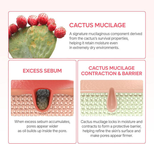 Dr. Melaxin Cactox Pore Relief Dual Capsule Κρέμα Προσώπου για Ενυδάτωση, Σύσφιξη & Ατέλειες με Κολλαγόνο 65gr