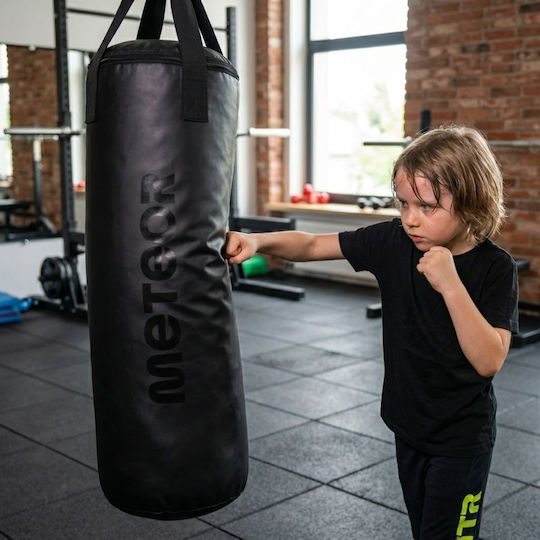 Meteor Punching Bag 12kg Black