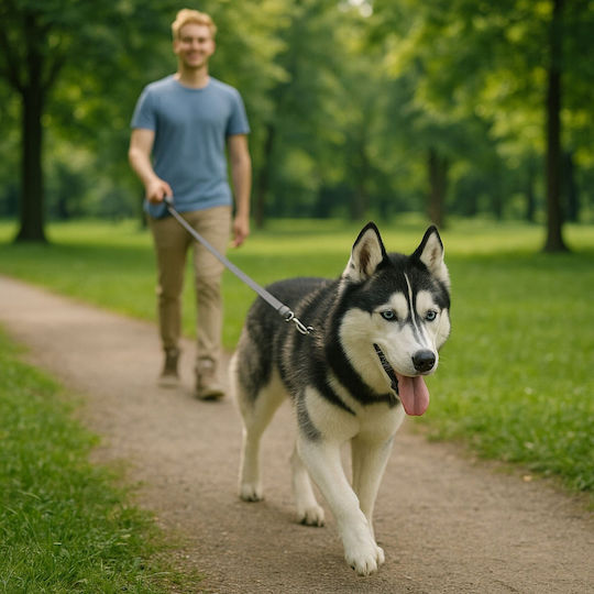 Dogness Πτυσσόμενο Λουρί/Οδηγός Σκύλου Ιμάντας 5m
