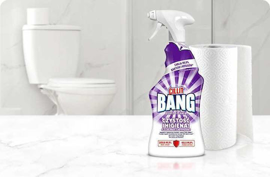 Reckitt Καθαριστικό Spray Κατά της Μούχλας 750ml