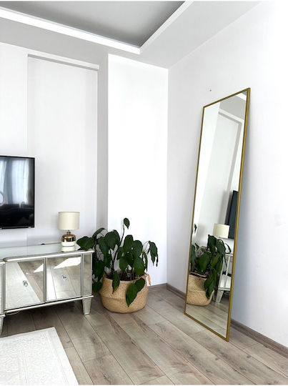 SteweHome Boden- oder Standspiegel mit Gold Metallischem Rahmen 180x50cm
