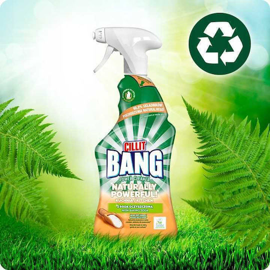 Reckitt Καθαριστικό Spray για Λίπη 750ml