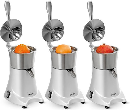 Alfa Frost Automatischer Obstverarbeitungsmaschine 230W