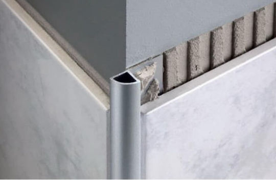 Profil Aluminiu Plăci Argintiu Lucios 2,5m