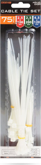 Set Plastic Nylon Self-locking Cable Ties Transparent Various Sizes 75 Pcs