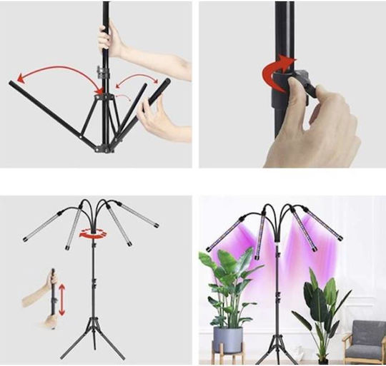 Lămpi Decorative Pentru Masă LED