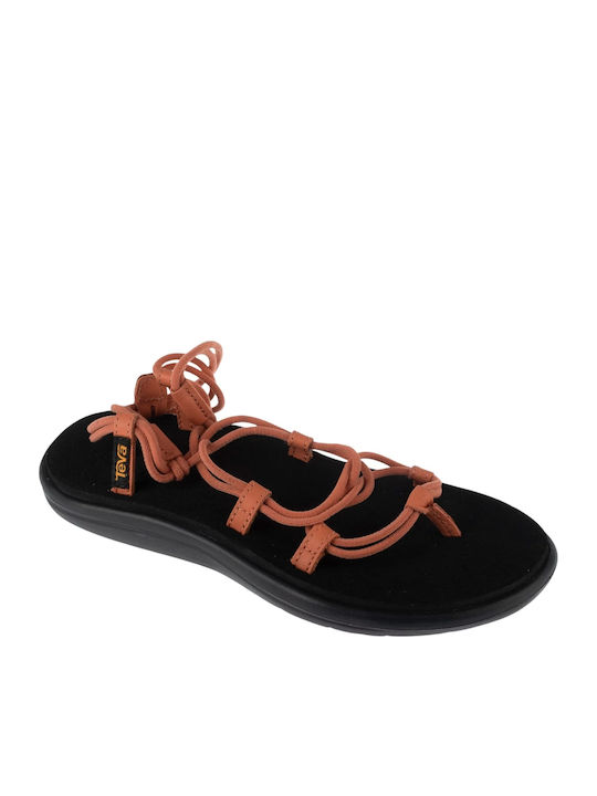 Teva