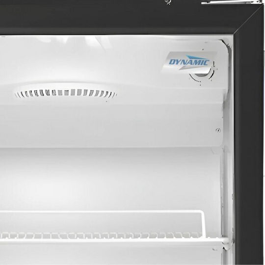 Dynamic Single Beverage Refrigerator 420lt H205xW66xD65cm