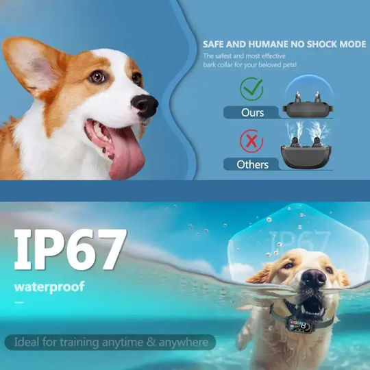 Electric Dog Training Collar