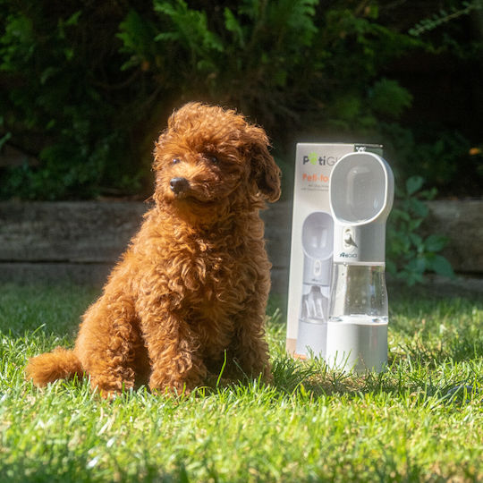 Petigio Wasserflasche für Hund aus ABS-Kunststoff