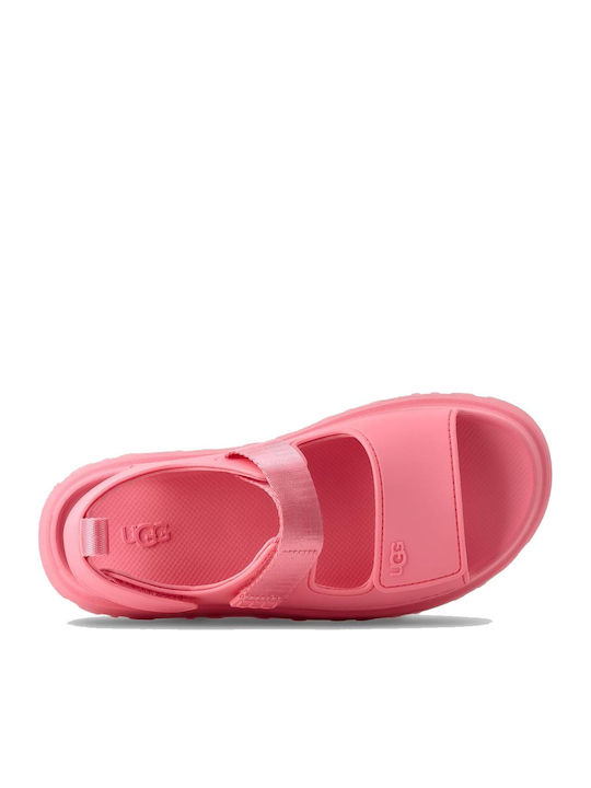 GoldenGlow Women's Flat Sandals Tropical Pink