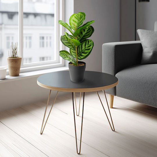 Plantă Decorativă Artificială Cu Frunze De Zebră 34 Cm În Ghiveci Design Realist Decor Acasă Birou