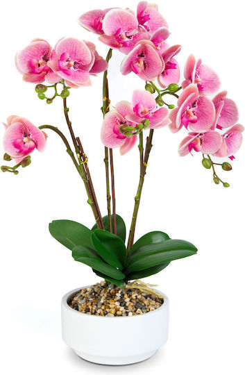 Dekorative Künstliche Orchidee In Topfpflanze Natürlicher Look 56 Cm Dekorative Künstliche Orchidee In Topfpflanze Natürlicher Look 56 Cm