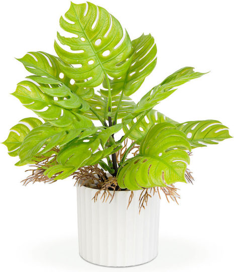Künstliche Monstera Dekorative Pflanze 22 Cm In Topfpflanze Realistisches Design Wohnen Büro Dekor Künstliche Monstera Dekorative Pflanze 22 Cm In Topfpflanze Realistisches Design Wohnen Büro Dekor