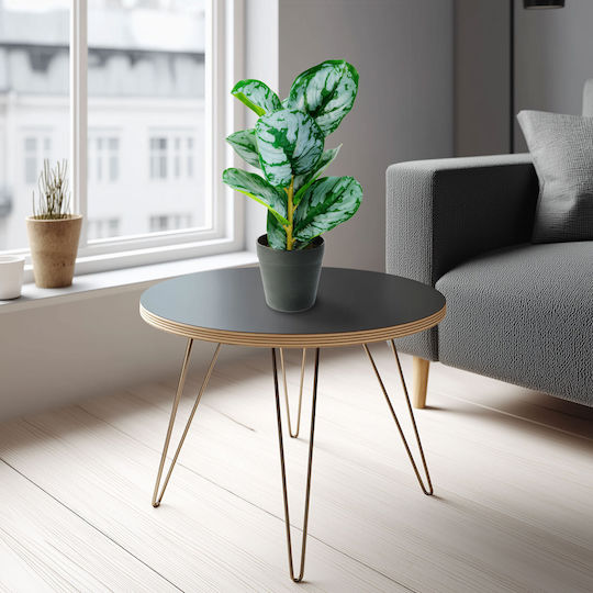 Künstliche Zebra-Blattpflanze 34 cm Grüne Weiße In Topfpflanze Modernes Zuhause Büro Dekor