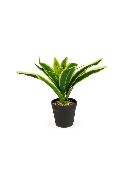 Plastic Decoration Striped Tray 20 X 8.5 Cm