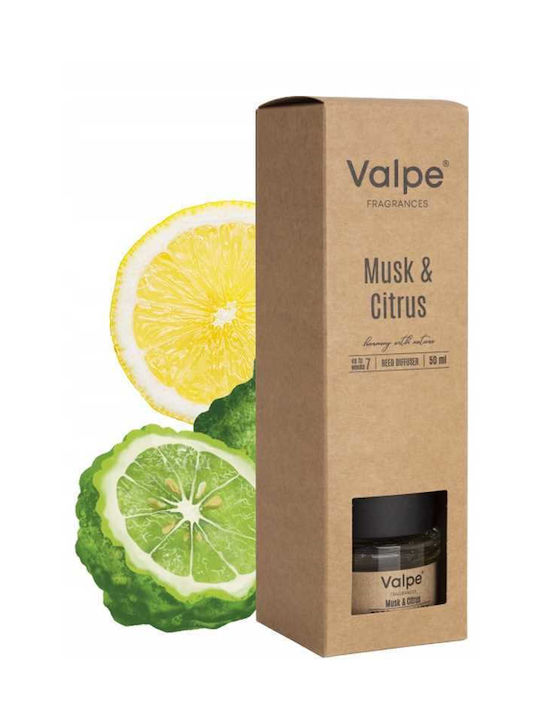 Valpe Reed Diffuser Musk-citrus 50 Ml Dz50-328