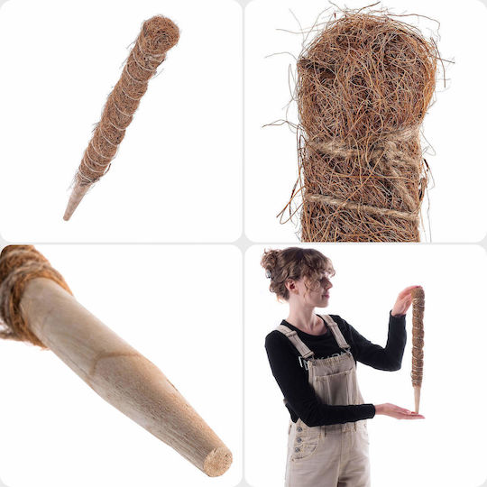 Kadax Kokos Pflanzenspieße Topfstütze 45 Cm 3 Stück