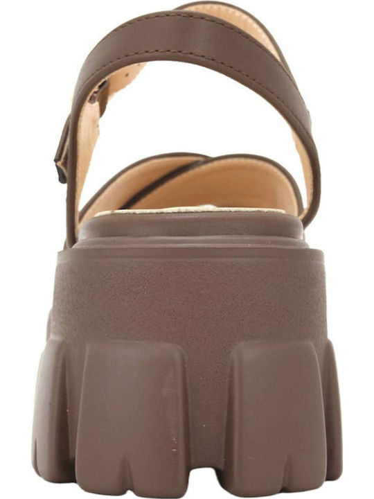 Brown Sandals