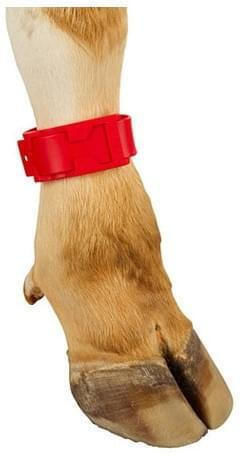 Plastic Cow Foot Marking Tape